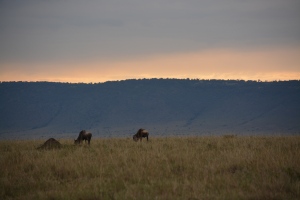 2014-09-19 to 21- the Mara with Tammy & Lorne 333