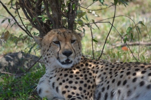 2014-09-19 to 21- the Mara with Tammy & Lorne 640